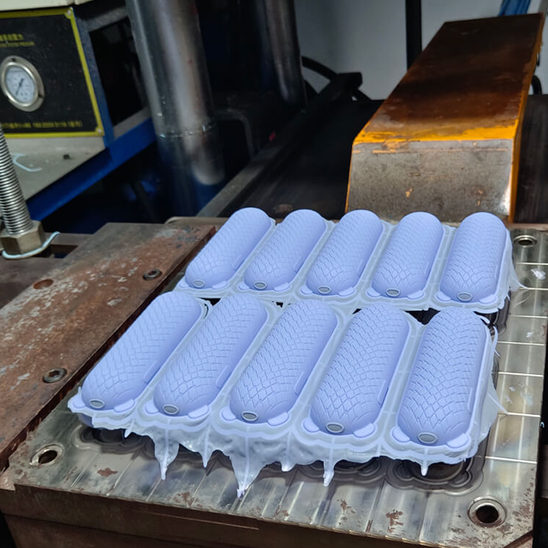 silicone molding1