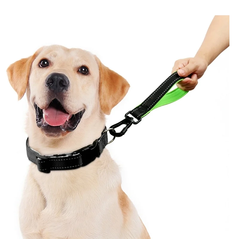What Are The Best Selling Pet Products1